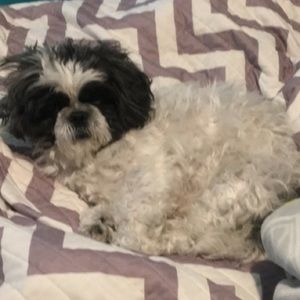 Meet your Posher, Katheryn